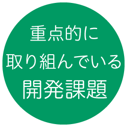 重点的に取り組んでいる開発課題