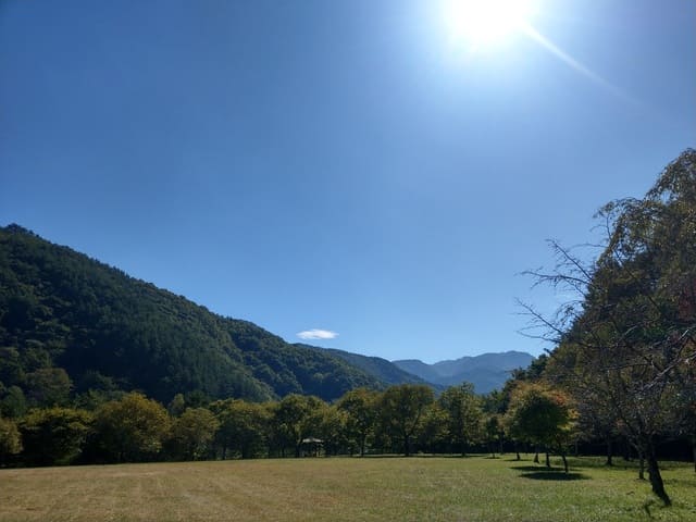 もみじ湖周辺の様子（2）末広広場