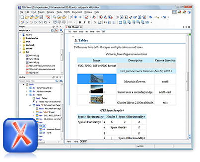 Oxygen XML Editor caputure