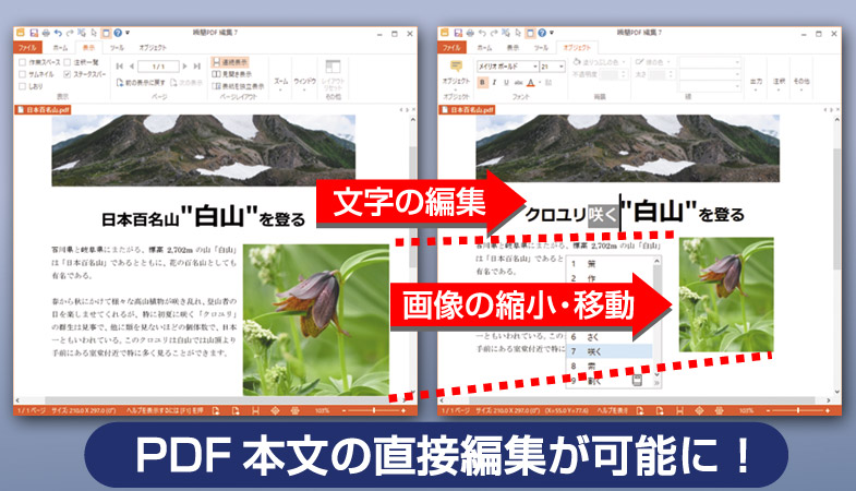 ついに対応！PDF本文の直接編集