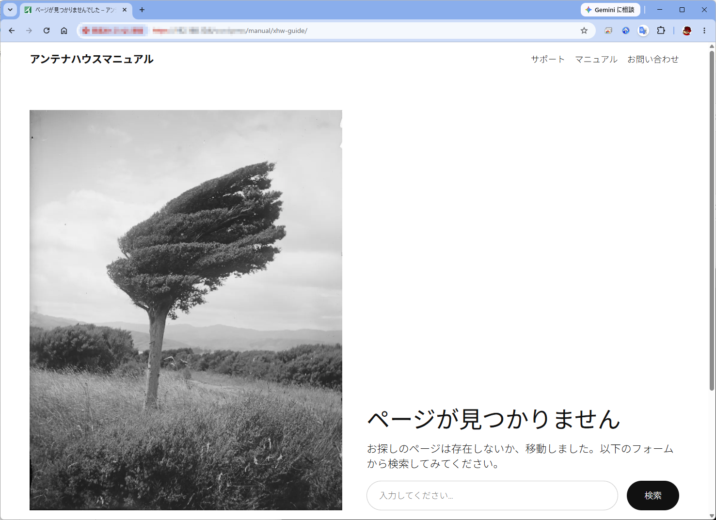 公開されたページ(実行前)