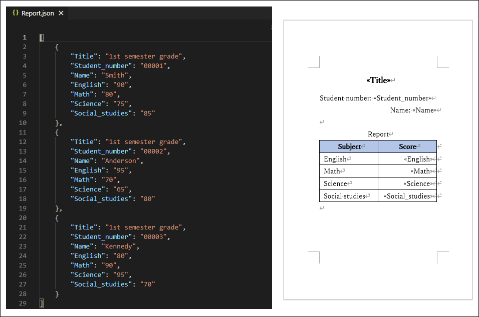 Simple JsonData Image